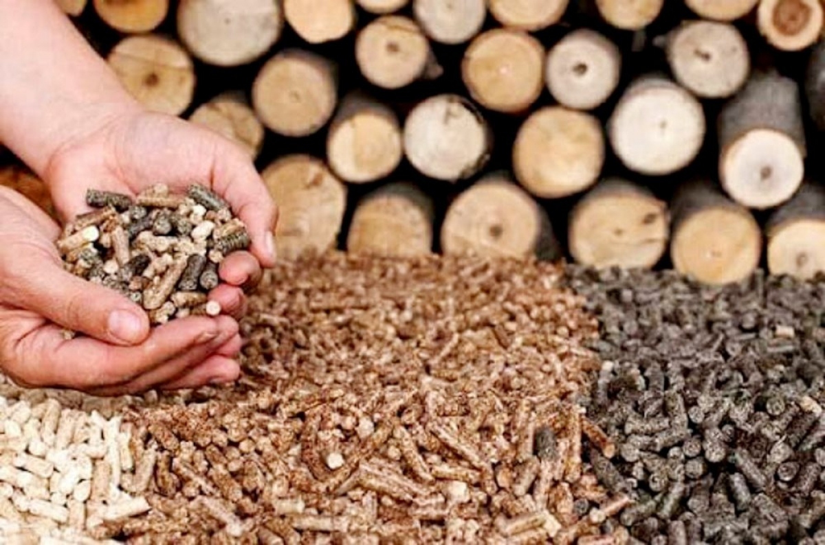 RoK and Japan become largest importers of Vietnamese wood pellets